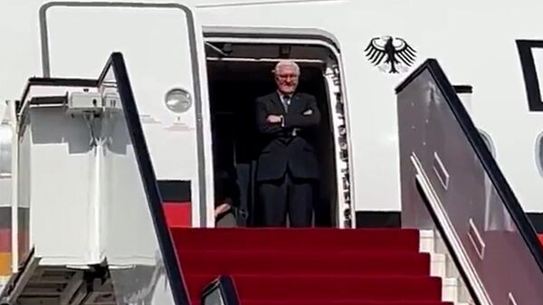 Прилетевший в Катар президент Германии Штайнмайер полчаса ждал, чтобы его встретили из самолёта - Sputnik Армения