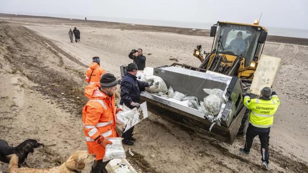 Люди убирают пляж на севере Дании после того, как из-за шторма Пиа судно датской судоходной компании A.P. Moller-Maersk потеряло 46 контейнеров с товарами - Sputnik Армения