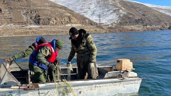 Изъятие из озера Севан незаконных орудий лова сига в связи с сезоном нереста рыбы - Sputnik Армения