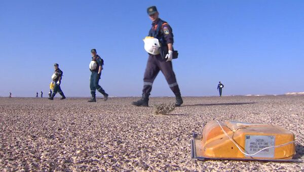 Спутник_Российские спасатели цепочкой прочесывали район крушения Airbus A321 в Египте - Sputnik Армения