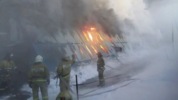 Пожар в Новосибирской области - Sputnik Армения