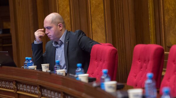 Заседание парламента посвященное взлету цен - Sputnik Армения
