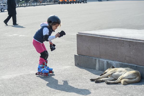 Ребенок катается на роликах и фотографирует собаку - Sputnik Армения
