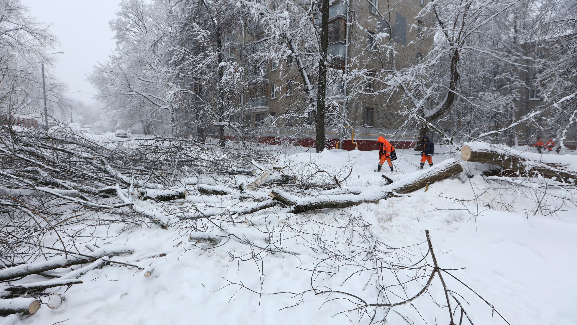 Сотрудники коммунальных служб убирают деревья во дворе в Москве, сломанные вследствие снегопада. - Sputnik Արմենիա, 1920, 02.04.2022