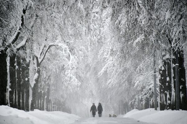 Снегопад в Москве - Sputnik Армения