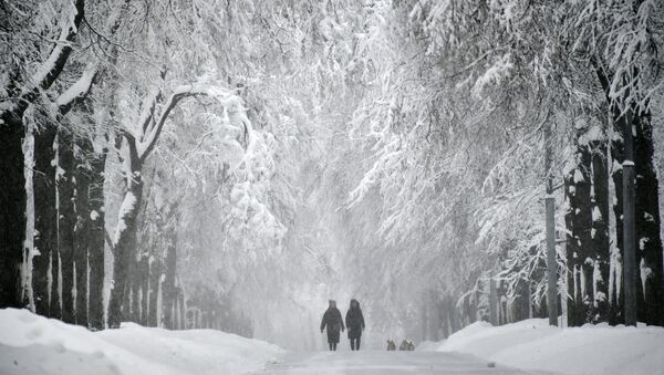 Снегопад в Москве - Sputnik Армения