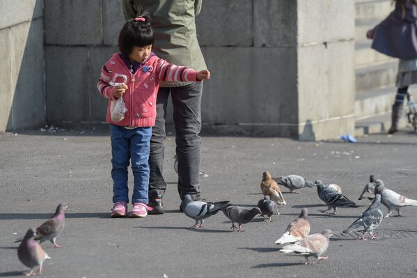 Ребенок гуляет с мамой и кормит голубей на площади Свободы - Sputnik Армения