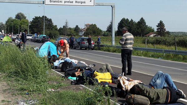 Ситуация на сербско-венгерской границе - Sputnik Արմենիա