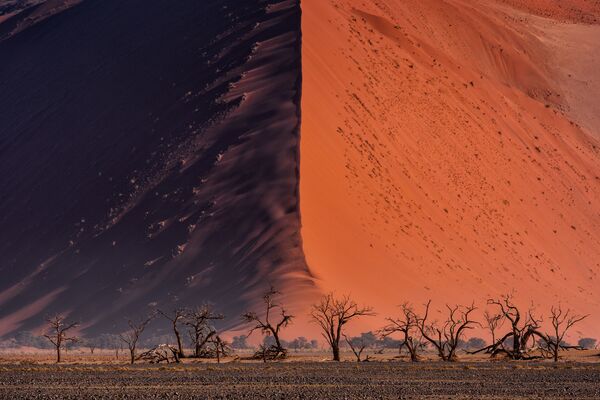 Снимок The Great wall of Namib тайского фотографа Paranyu Pithayarungsarit из категории Landscape & Nature (Open), вошедший в шортлист фотоконкурса 2018 Sony World Photography Awards - Sputnik Армения