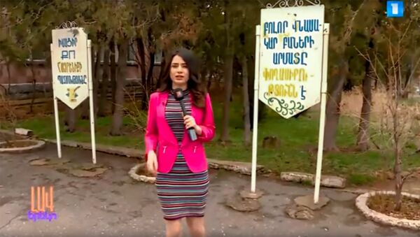 Кадр из телешоу Лав Ереко на Первом канале - Sputnik Արմենիա