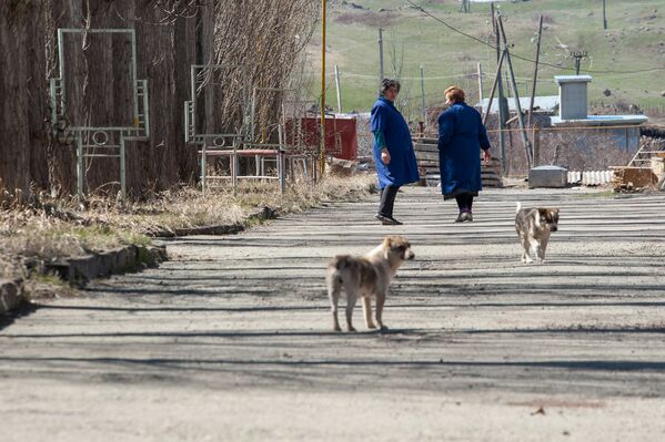 Весна в селе Гагарин, Гегаркуник - Sputnik Армения