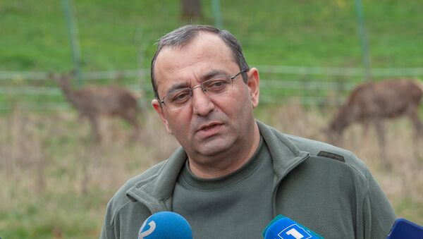 Интервью и.о. министра по охране природы Арцвика Минасяна - Sputnik Армения