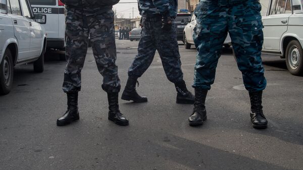 Полиция, Служба безопасности - Sputnik Армения