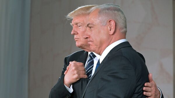 Президент США Дональд Трамп и премьер-министр Израиля Биньямин Нетаньяху в Музее Израиля (23 мая 2017). Иерусалим, Израиль - Sputnik Армения