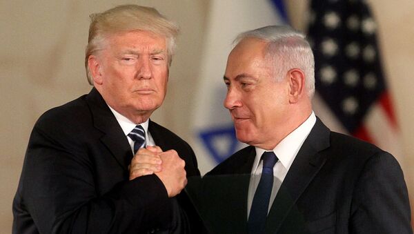 Президент США Дональд Трамп и премьер-министр Израиля Биньямин Нетаньяху в Музее Израиля (23 мая 2017). Иерусалим - Sputnik Армения