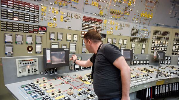 Работник армянской атомной электростанции - Sputnik Армения