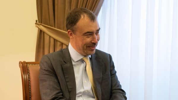 Спецпредставитель ЕС по Южному Кавказу и кризису в Грузии Тойво Клаар на встрече с министром иностранных дел Армении Зограбом Мнацаканяном (29 мая 2018), Еревaн - Sputnik Армения