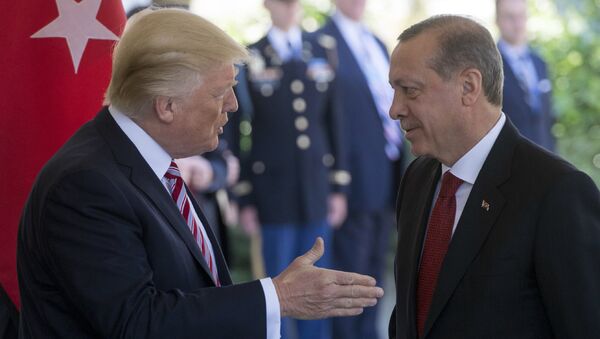 Президент США Дональд Трамп встречает президента Турции Реджепа Тайипа Эрдогана в Белом доме (16 мая 2017). Вашингтон, СШA - Sputnik Армения