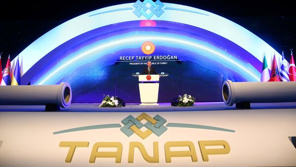 Выступление Президента Турции Тайипа Эрдогана во время церемонии открытия Трансанатолийского газопровода /TANAP/ (12 июня 2018). Эскишехир, Турция - Sputnik Армения
