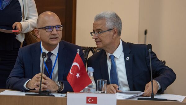 Турецкая делегация на 38-ом заседании глав МИД ОЧЭС (27 июня 2018). Еревaн - Sputnik Արմենիա