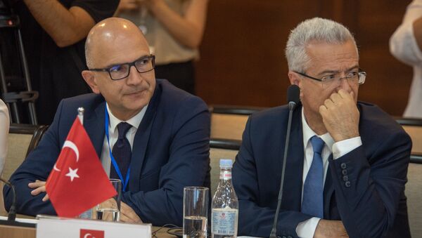 Турецкая делегация на 38-ом заседании глав МИД ОЧЭС (27 июня 2018). Еревaн - Sputnik Армения
