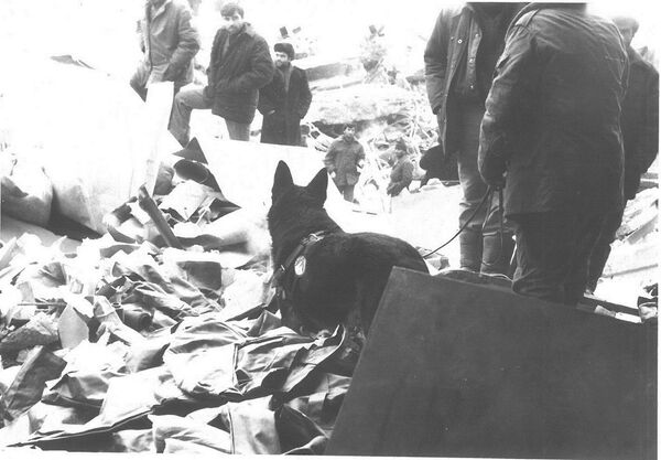 Город Спитак после землетрясения в 1988 году Город Спитак после землетрясения в 1988 году - Sputnik Արմենիա