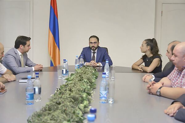 Вице-премьер Тигран Авинян представил сотрудникам гражданской авиации нового главу, Татевик Ревазян (11 июля 2018). Еревaн Вице-премьер Тигран Авинян представил сотрудникам гражданской авиации нового главу, Татевик Ревазян (11 июля 2018). Еревaн - Sputnik Армения