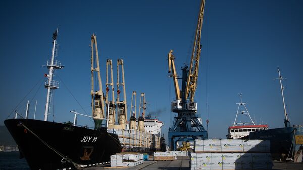 Судно под погрузкой в Новороссийском морском торговом порту - Sputnik Армения