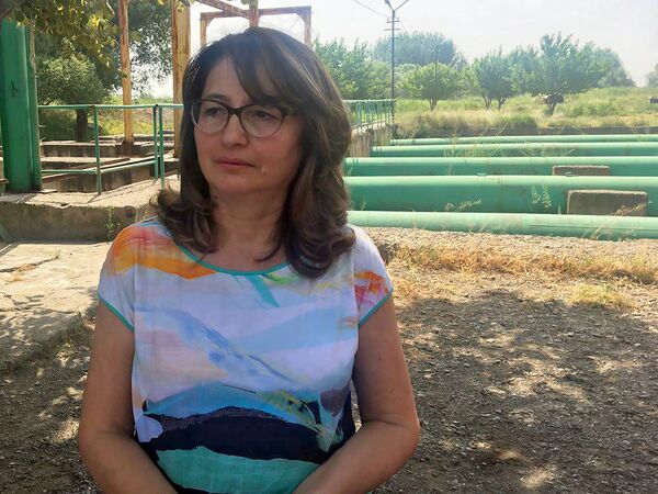 Председатель Водного комитета, Инесса Габаян Председатель Водного комитета, Инесса Габаян - Sputnik Армения