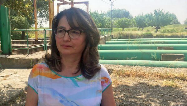 Председатель Водного комитета, Инесса Габаян - Sputnik Армения