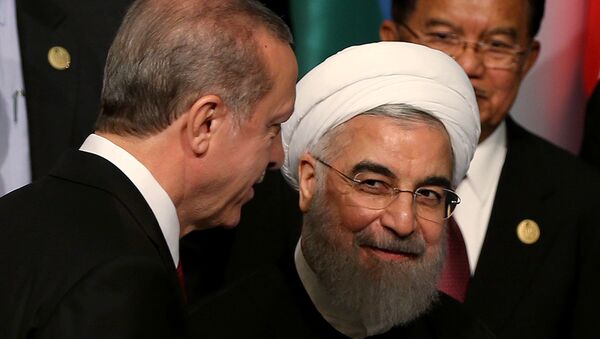 Президент Турции Реджеп Тайип Эрдоган и президент Ирана Хасан Рохани - Sputnik Արմենիա