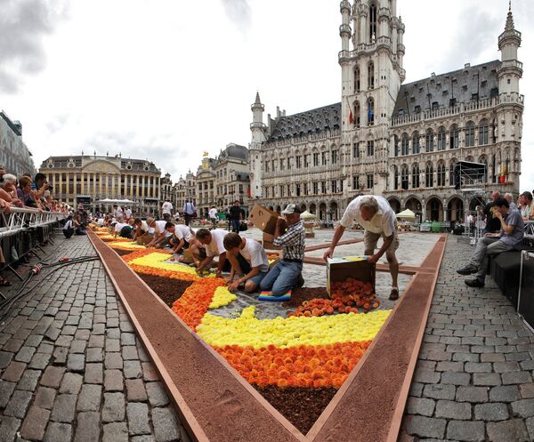 Фестиваль Ковер из цветов в Брюсселе, 2012 год - Sputnik Армения