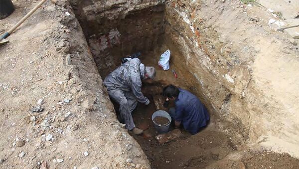 В Екатеринбурге археологи нашли некрополь с захоронениями младенцев - Sputnik Армения