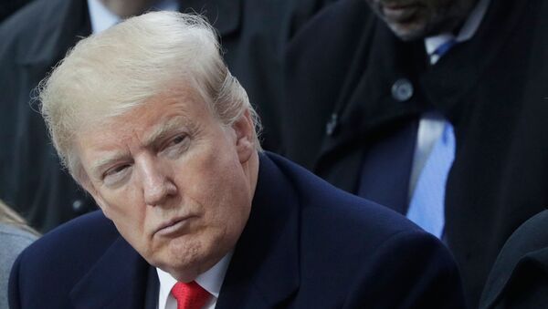 Президент США Дональд Трамп на мемориальной церемонии у Триумфальной арки в Париже по случаю 100-летия окончания Первой мировой войны. - Sputnik Армения