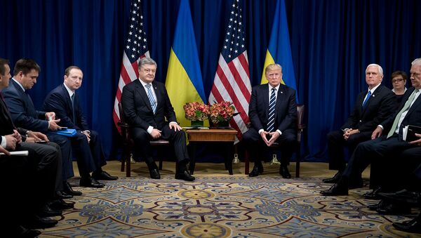 Встреча президентов Украины и США Петра Порошенко и Дональда Трампа в отеле Palace во время 72-й Генеральной Ассамблеи ООН (21 сентября 2017). Нью-Йорк - Sputnik Армения