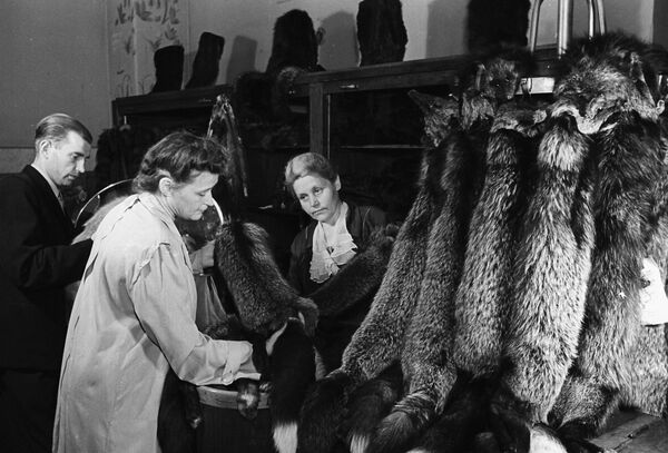 Отдел Меха в магазине ЦУМ. Москва ,1948 год Отдел Меха в магазине ЦУМ. Москва ,1948 год - Sputnik Армения