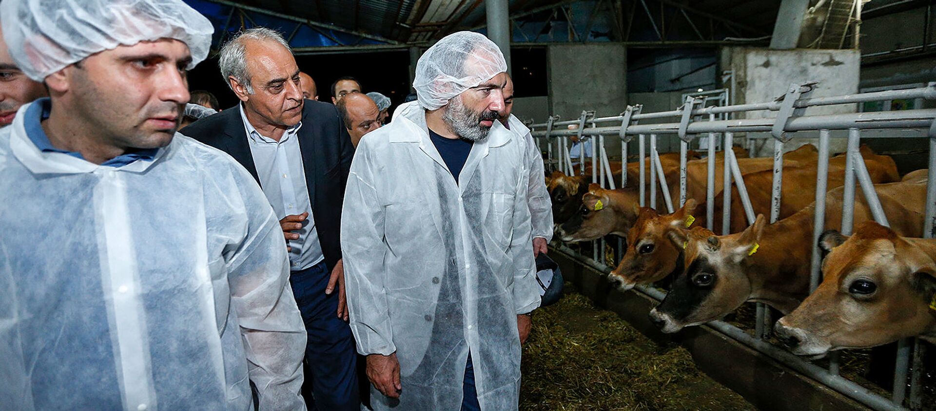 Никол Пашинян посетил животноводческую ферму (10 августа 2018). Лусадзор, Тавуш - Sputnik Армения, 1920, 09.12.2019