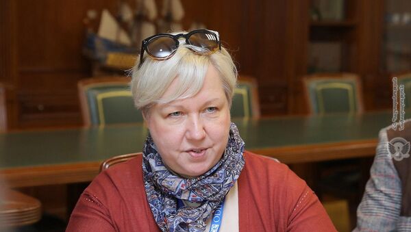 Руководитель миссии наблюдателей за выборами БДИПЧ/ОБСЕ Уршула Гачек на встрече с и.о. министра обороны Давидом Тонояном (24 ноября 2018). Еревaн - Sputnik Армения