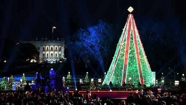 Президент США Дональд Трамп с супругой Меланией на торжественной церемонии зажжения Национальной рождественской елки в парке перед Белым домом (28 ноября 2018). Вашингтон - Sputnik Армения