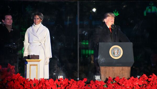Президент США Дональд Трамп с супругой Меланией на торжественной церемонии зажжения Национальной рождественской елки в парке перед Белым домом (28 ноября 2018). Вашингтон - Sputnik Արմենիա