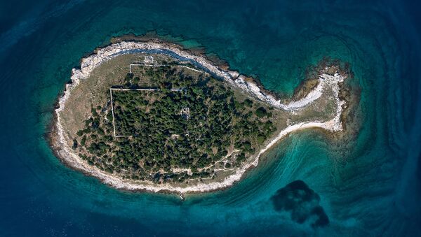 Остров в виде рыбы архипелага Бриони, Хорватия  - Sputnik Արմենիա
