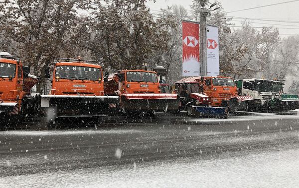 Առաջին առատ ձյունը Երևանում - Sputnik Արմենիա