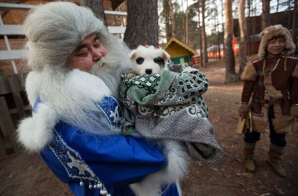 Ямал Ири из Салехарда несет щенка в подарок Деду Морозу во время празднования Дня рождения Деда Мороза в Великом Устюге - Sputnik Армения