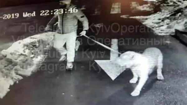 Кадры видеонаблюдения с места убийства сотрудника охраны Порошенко - Sputnik Армения