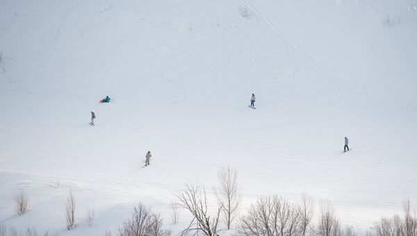 Цахкадзор, канатная дорога, снег, лыжи - Sputnik Армения