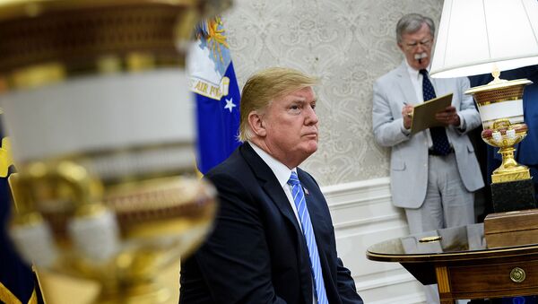 Президент США Дональд Трамп и советник по национальной безопасности Джон Болтон перед встречей с премьер-министром Нидерландов Марком Рютте (2 июля 2018). Вашингтон - Sputnik Армения