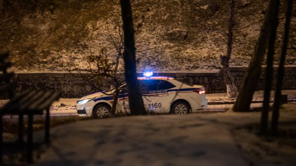 Автомобиль дорожной полиции Армении - Sputnik Արմենիա