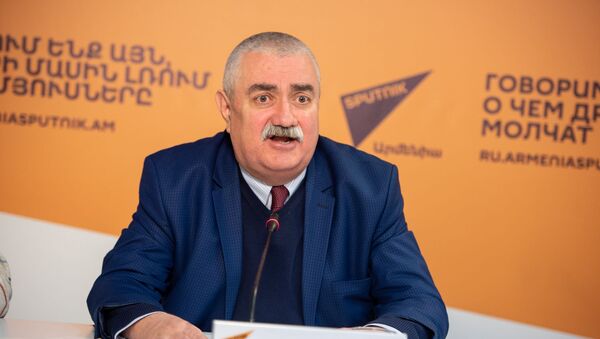 Арам Сафарян во время видеомоста Начало нового политического цикла в Армении: ожидания армянского общества от новой власти (22 января 2019). Еревaн - Sputnik Արմենիա