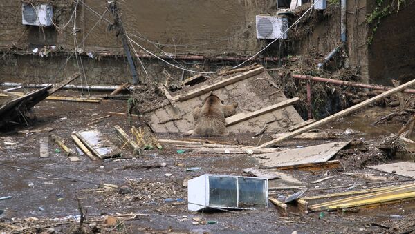 Последствия наводнения в Тбилиси - Sputnik Армения