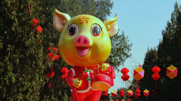 Жители Китая встретили год Земляной свиньи - Sputnik Армения